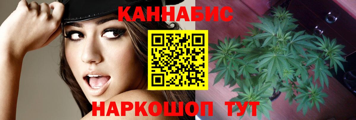 Бошки марихуана сатива Киселёвск